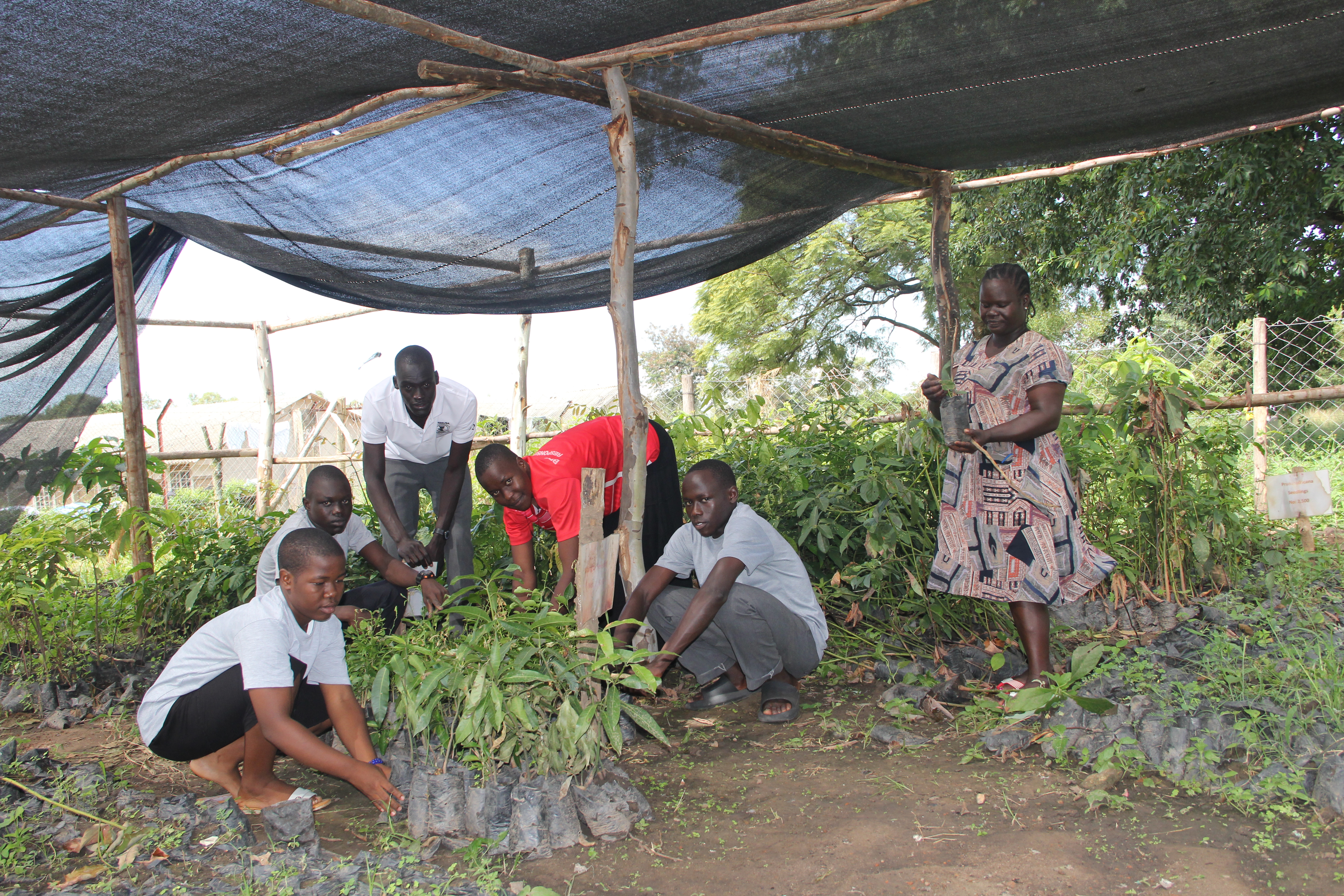 Students and matron at the nursery bed site